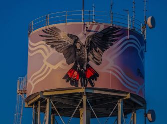  A large water tank featuring a striking mural of a black cockatoo with wings spread wide, showcasing its vibrant red and yellow tail feathers. The bird is painted in aboriginal style against a soft gradient background with pastel shades of pink, orange, and white, and abstract wavy lines.  The tank is mounted on a tall, light blue metal structure with a ladder, and the scene is set under a partly cloudy sky with nearby buildings and roads visible in the background.