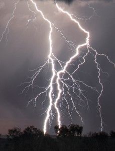 This image shows a dramatic lightning strike against a dark, cloudy sky, with silhouettes of trees in the foreground, illustrating the power and danger of severe weather.