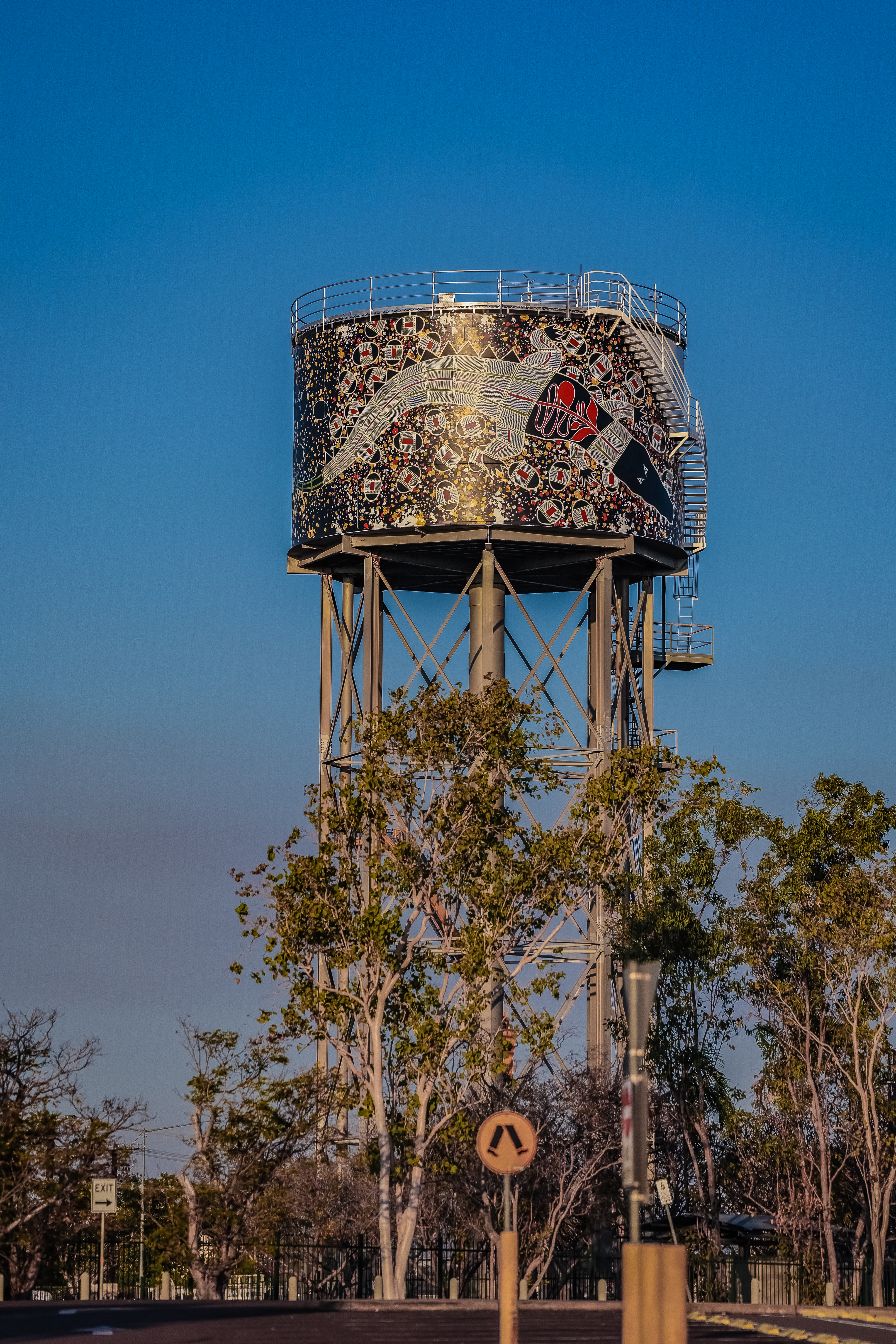 The ‘Dangalaba (crocodile) on Larrakia Country’ 